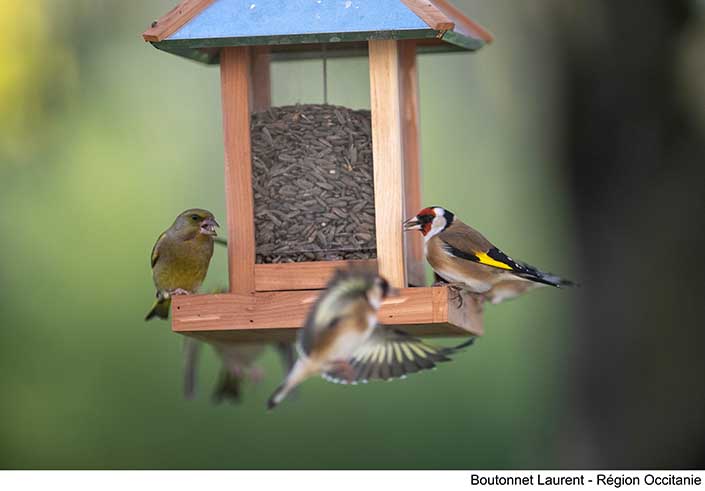 Qu’est-ce que Biodéfis ?